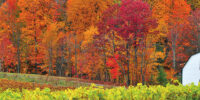 canada-fall-colors-by-rail