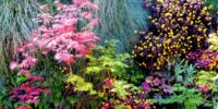 Luscious garden