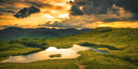 GoldenWater