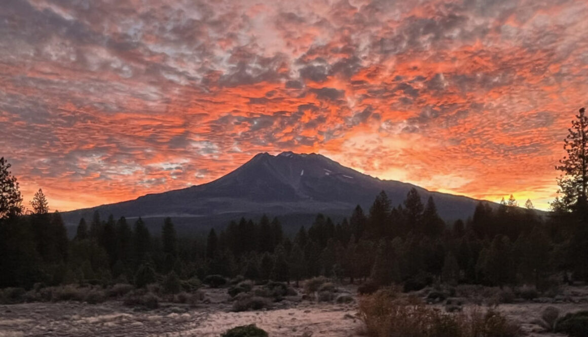 #7 Joyful Remembering 2025